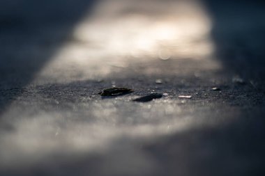 Islak asfalt bir yolda geceleri ışık demetinin düşük açılı görüntüsü soyut ve karamsar bir manzara yaratıyor. Sanatsal bokeh efektli sinematik arkaplan