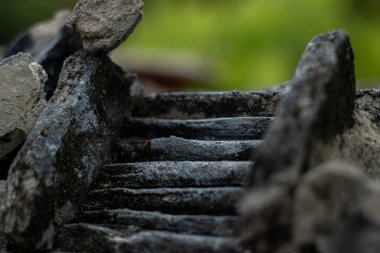 Bulanık yeşil arka bahçeye doğru uzanan kadim taş basamaklar. Başarı, yolculuk, kariyer ve büyüme için kavramsal bir görüntü