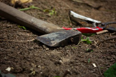 Toprakta duran balta ve budama makası gibi eski bahçe aletleri. El işi ve bahçıvanlık kavramı