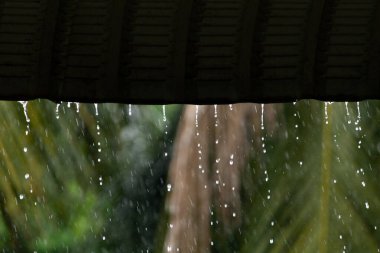 Çatıdan sağanak yağmur yağıyor. Fırtına sırasında sığınak ve barış kavramı