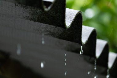 Bükülmüş fibroçimento çatısından düşen yağmur damlaları. Yağmurlu bir günün eşsiz ruh hali ve sesi