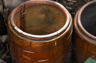 Bahçe köşesindeki eski seramik kavanozlar. Bir örümcek ağı yaşı ve terk edilmişliği gösterir..