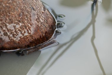 Durgun suda paslı ahşap bir direğin soyut makrosu. Barış ve sükunet Zen kavramı.