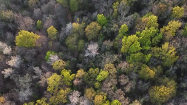 Drone Wideo Pięknym Krajobrazem Podczas Zachodu Słońca — Wideo stockowe
