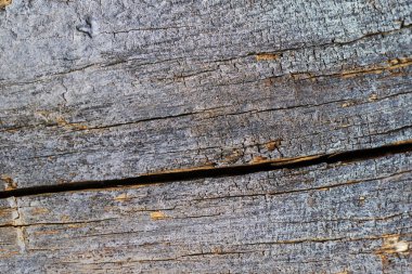 Yıpranmış ve gri ahşap boyanmış arka plan, bir taraftan diğerine uzanan büyük bir çatlak..