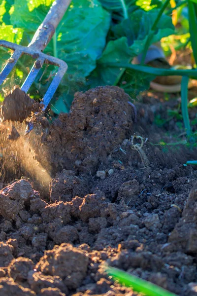Egy Farmer Szitát Használ Hogy Előkészítse Földet Tavaszi Ültetésre Láb — Stock Fotó