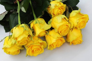 buket Sarı Gül izole