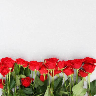 İzole edilmiş beyaz arka planda kırmızı güller