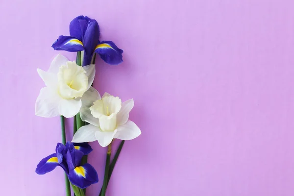 stock image Bouquet of beautiful fresh flowers of blue irises and yellow daffodils on soft purple background isolated close up