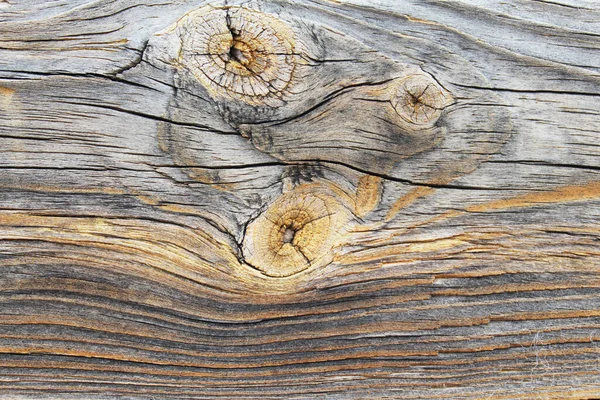 Natural Background Texture Old Wood — Stock Photo, Image