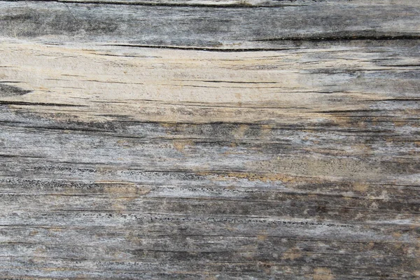 Текстура Природного Фону Старого Дерева — стокове фото