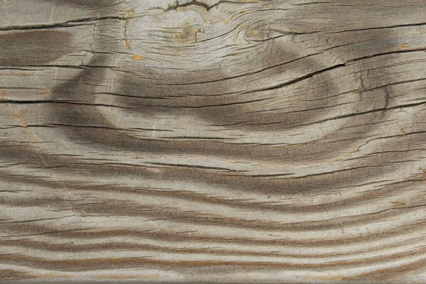 古い木の自然な背景の質感 — ストック写真