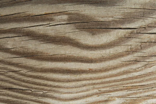 老木料的自然背景质地 — 图库照片