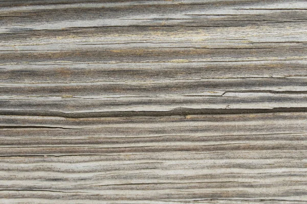 Natural Background Texture Old Wood — Stock Photo, Image