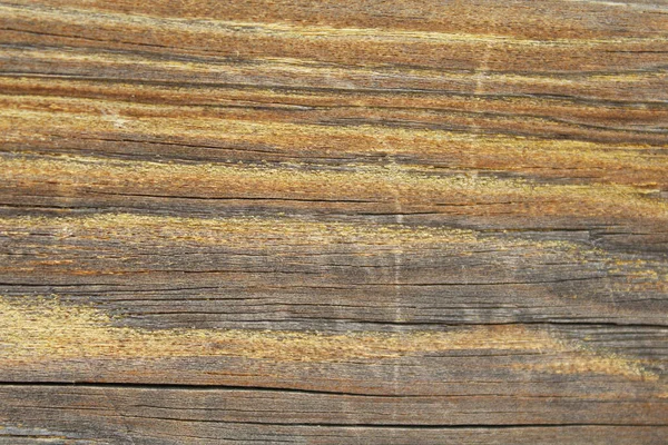 Natürliche Hintergrundstruktur Aus Altem Holz — Stockfoto