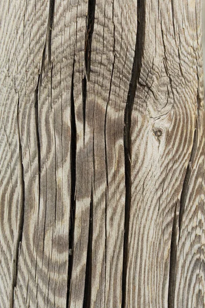 古い木の自然な背景の質感古い木の背景のテクスチャ — ストック写真