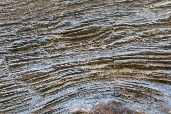 Textura Fundo Pedra Natural Não Tratada — Fotografia de Stock