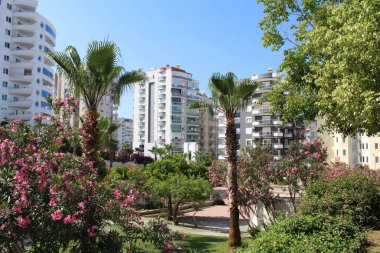 Türkiye 'de Alanya' nın güzel caddeleri. Çiçekler, ağaçlar, yelkenli şeklinde bir apartman binası ve Türkiye sokaklarında tekne şeklinde bir kütük. Temiz bulutsuz gökyüzü