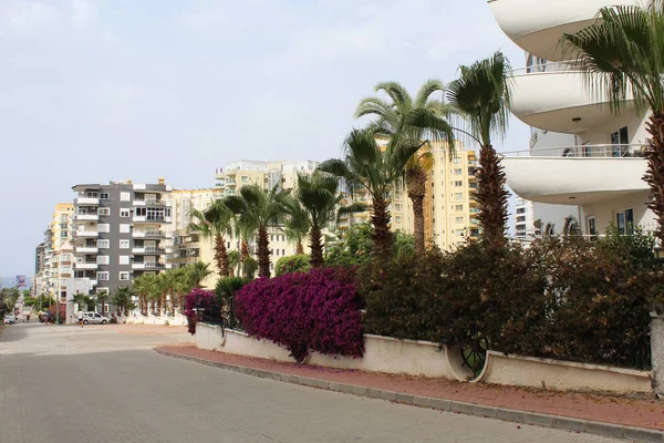 Türkiye 'de Alanya' nın güzel caddeleri. Çiçekler, ağaçlar, yelkenli şeklinde bir apartman binası ve Türkiye sokaklarında tekne şeklinde bir kütük. Temiz bulutsuz gökyüzü