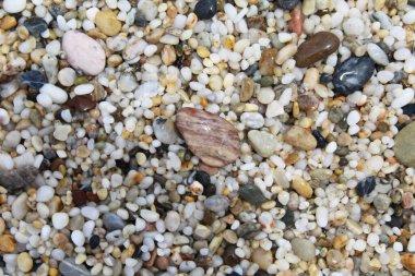 Sahilde doğal arkaplan dokusu çakıl taşları