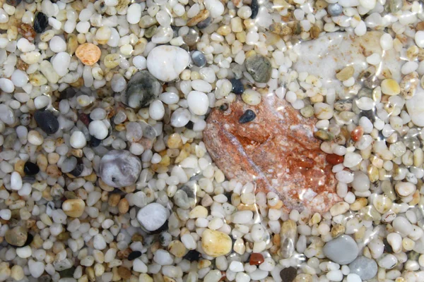 Sahilde Suyun Içinde Doğal Arkaplan Dokusu Çakıl Taşları — Stok fotoğraf