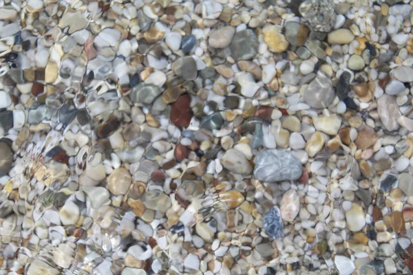 Sahilde Suyun Içinde Doğal Arkaplan Dokusu Çakıl Taşları — Stok fotoğraf