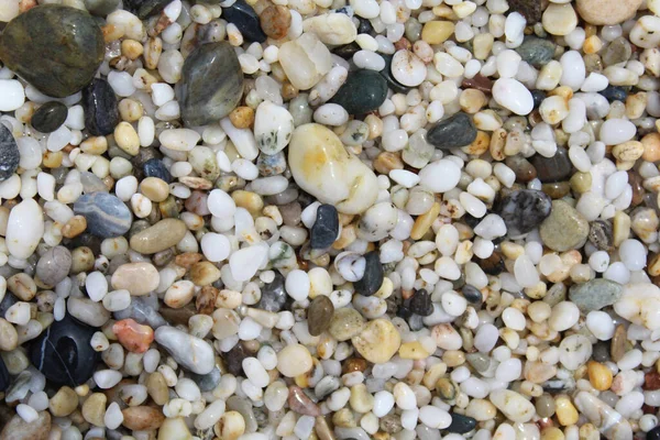 Textura Fundo Natural Seixos Praia — Fotografia de Stock