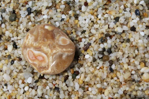 Steine Strand Nahaufnahme Eines Steins Auf Einem Natürlichen Hintergrund Aus — Stockfoto