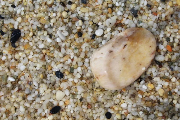 Pedras Praia Close Uma Pedra Sobre Fundo Natural Seixos Mar — Fotografia de Stock