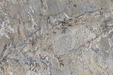 Doğal arka plan taş duvar dokusu