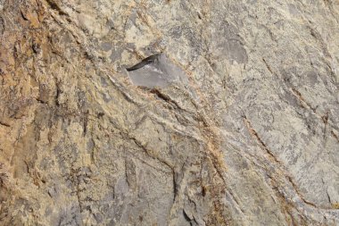 Doğal arka plan taş duvar dokusu