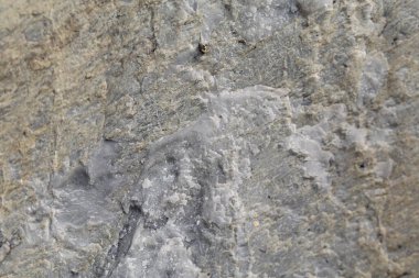 Doğal arka plan taş duvar dokusu