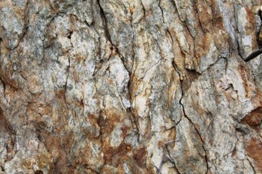 Doğal taşın tetexture arkaplanı