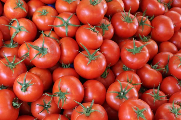 Tomates Rojos Sobre Fondo Blanco — Foto de Stock