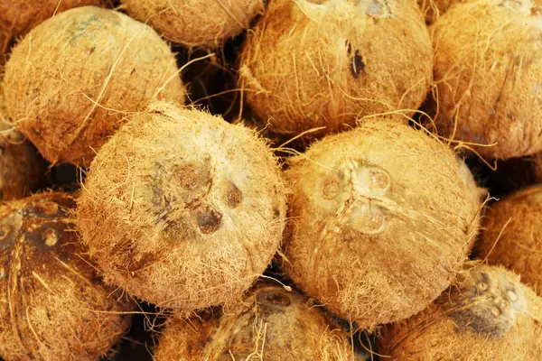 Natürlichen Hintergrund Kokosnuss Nahaufnahme — Stockfoto