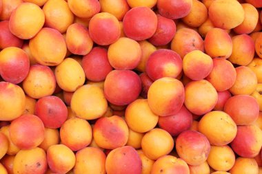 Taze kayısıların doğal arka planı