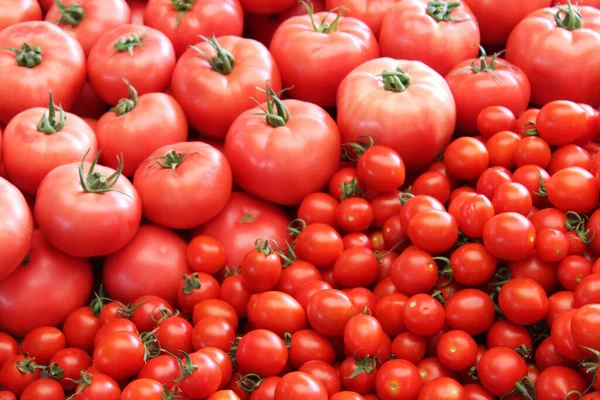 Alimentos Saludables Tomates Rojos Fondo — Foto de Stock