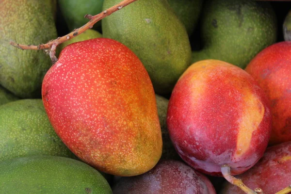 Exotisk Frukt Bakgrund Med Röd Och Grön Mango Närbild — Stockfoto