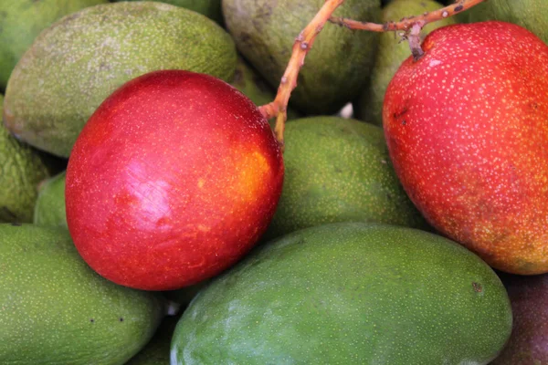 Kırmızı Yeşil Mangolu Egzotik Meyve Arkaplanı — Stok fotoğraf