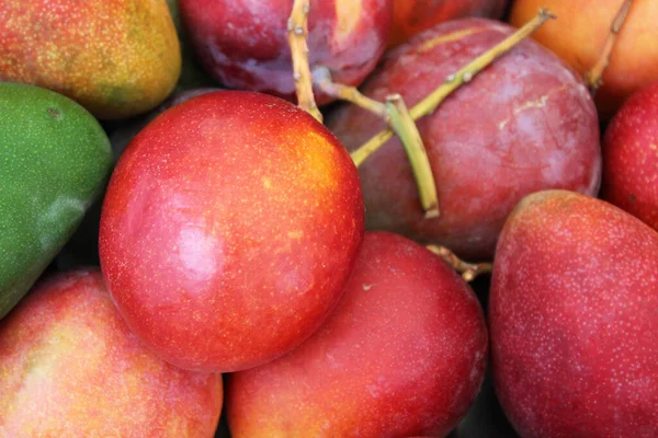 Exotické Ovoce Pozadí Červenou Zelenou Mango Close — Stock fotografie