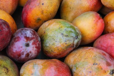 Pazarda taze mango meyvesi