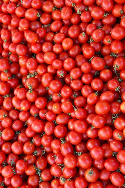 Ripe Red Cherry Tomatoes — Stock Photo, Image