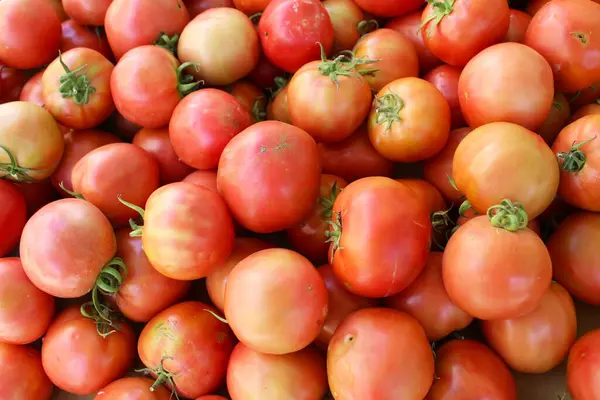Tomates Rojos Mercado — Foto de Stock