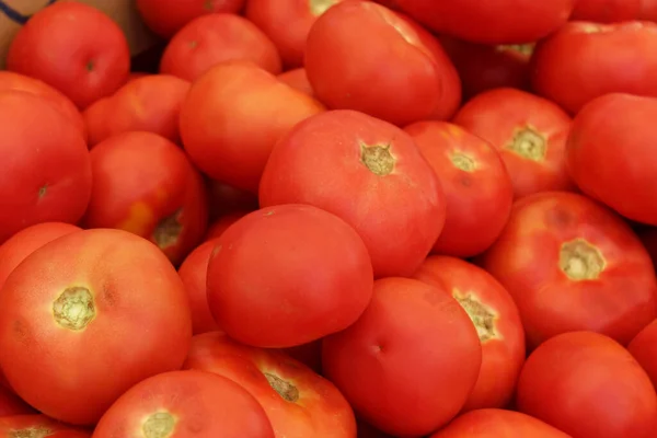 Tomates Frescos Mercado — Foto de Stock