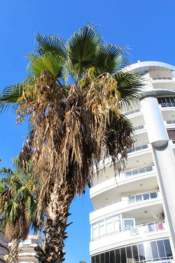 Kıbrıs'ta güzel Limasol Beach