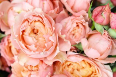 Buketteki pembe güller, yakın çekim..