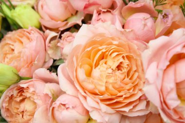 Gelinin güzel çiçekleri