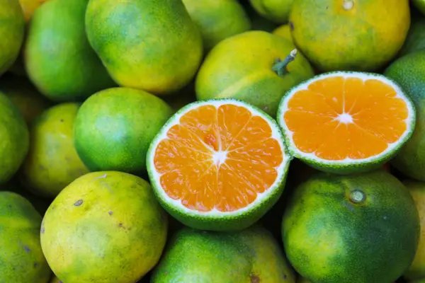 healthy food fruit  tangerine cut