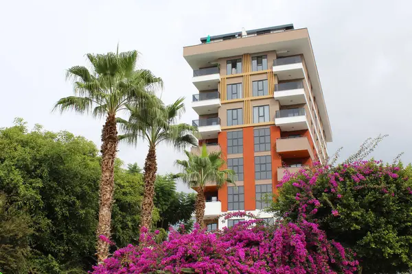 Çiçek açan pembe bougainvillea çiçekleri ve yeşil palmiye ağaçlarının arka planında güzel bir apartman dairesi.