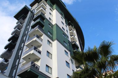  Mavi gökyüzünün arka planında palmiye ağaçları ve yeni daireler